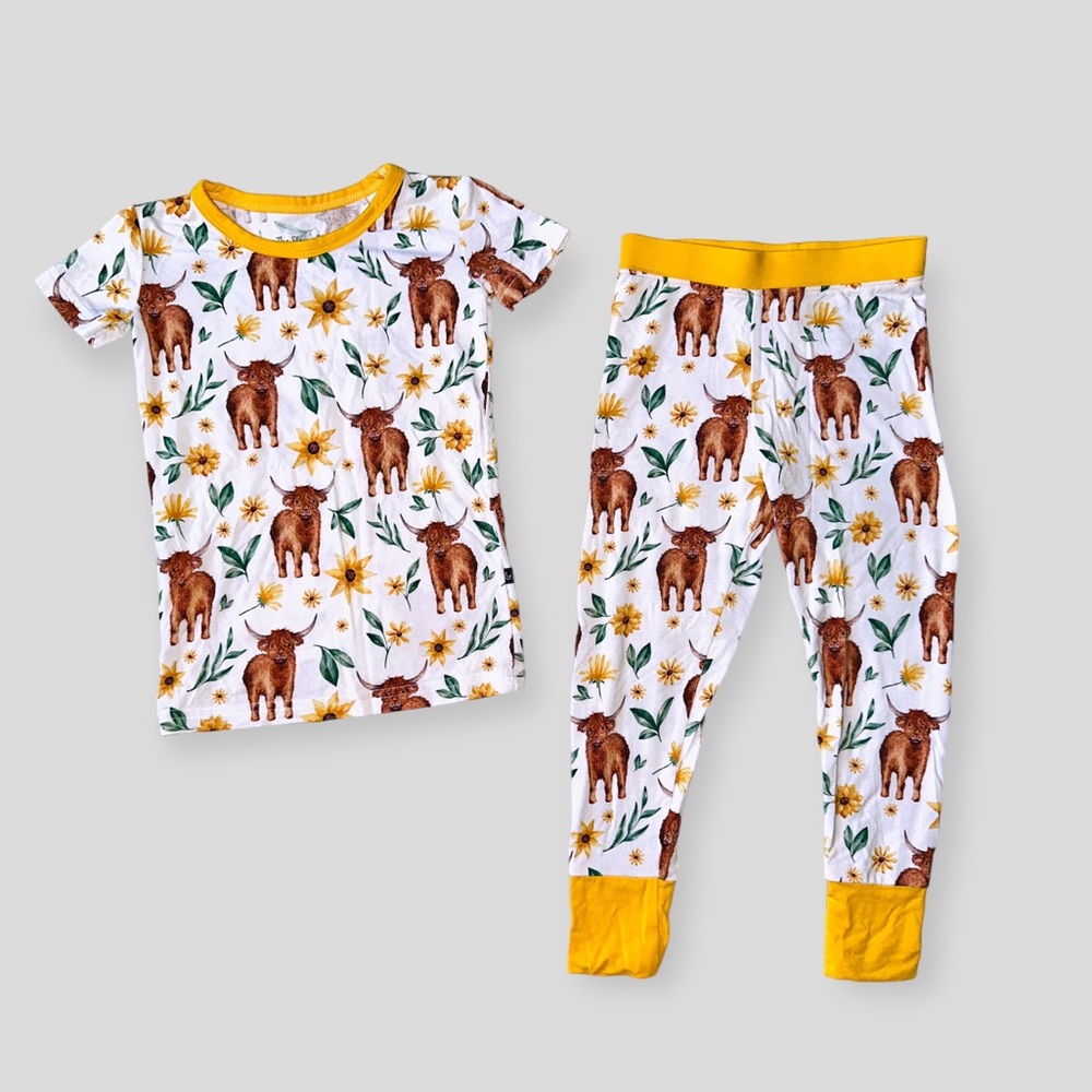 Like New Sleepy Sloth Bamboo Set